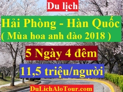 TOUR HẢI PHÒNG - HÀN QUỐC ( MÙA HOA ANH ĐÀO 2018 )