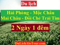 TOUR HẢI PHÒNG - MỘC CHÂU – ĐỒI CHÈ TRÁI TIM - ĐỒI ĐÁ TRẮNG – MAI CHÂU