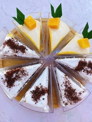 Ly nhựa mica tam giác LC48