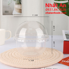 Hộp nhựa dẻo trong PP95 - 250U