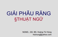 Sách giải phẫu răng và thuật ngữ - bs hoàng tử hùng