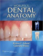 Sách Woelfel’s Dental Anatomy - Lippincott Williams _ Wilkins_ 8th edition (January 4, 2011)