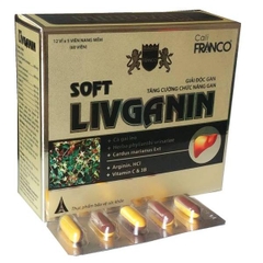 Soft LIVGANIN