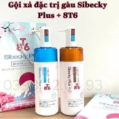 Dầu Cặp SLbecky T86 - 700ml