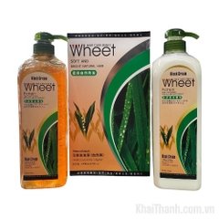 Nhuộm Đen Lô Hội Wheet 1000ml