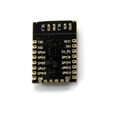 Module Wifi ESP8266 ESP-12E