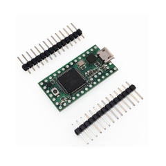 Kit Teensy 3.1