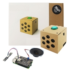 Google AIY Voice Kit for Raspberry Pi