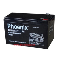 Ắc quy xe đạp điện Phoenix 12V-12Ah TS12120 12Ah-12V