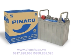 Ắc quy xe điện Pinaco Đồng Nai 12V 150ah PL12-150