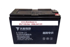 Ắc quy xe đạp điện 12V 21Ah 6-DZM-21