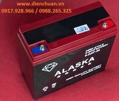 Ắc quy xe đạp điện 12V 30Ah ALASKA 6-DZF-30