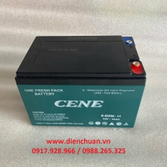 Bình ắc quy xe đạp điện CENE 12V 14Ah 6-DZM-14