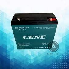 Ắc quy xe máy điện 12V 24Ah CENE 6-DZM-24