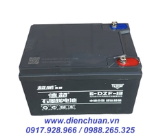 Ắc quy xe đạp điện CHILWEE 12V 13AH 6-DZF-13 - Hàng nội địa chất lượng số 1 Trung Quốc