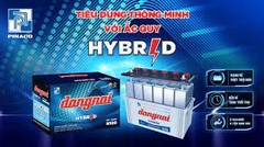 Ắc quy Đồng Nai 12V 100Ah  N100