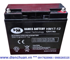 Ắc quy 12V-17Ah HAMES HM17-12