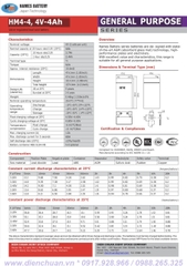 Ắc quy cân điện tử Hames HM4-4 ( 4V 4Ah )/ pin sạc 4V-4Ah