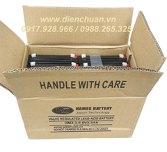 Ắc quy Hames HM3.3-6 ( 6V 3.3Ah )/ pin 6V-3.3Ah