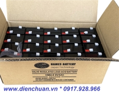 Ắc quy 6V 4Ah HAMES HM4-6 / pin 6V-4Ah