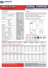 Ắc quy 6V 5Ah HAMES HM5-6 / pin 6V-5Ah