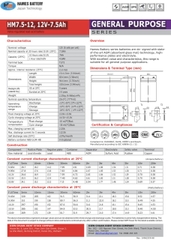 Ắc quy 12V-7.5Ah HAMES HM7.5-12