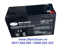 Ắc quy 12V-7.5Ah HAMES HM7.5-12