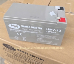 Ắc quy HAMES 12V-7Ah HM7-12