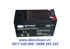 Ắc quy 12V-8Ah HAMES HM8-12