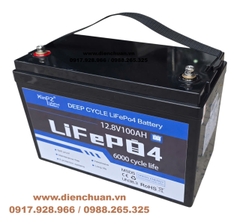 Pin lithium 12.8V 100Ah Xinpz  ( Ắc quy Lifepo4 12V 100Ah/ 12.8V 100AH)
