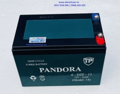 Ắc quy xe đạp điện PANDORA 12V 12Ah 6-DZF-12 ( Model: 14)