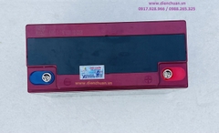 Ắc quy xe đạp điện PANDORA 12V 20Ah 6-DZF-20 ( Model 30A)