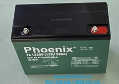 Ắc quy Phoenix TS12200 (12V 20Ah)