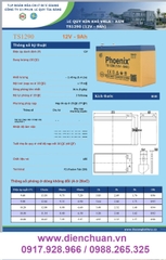 Bình ắc quy Phoenix 12V-9Ah TS 1290