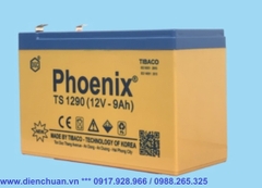 Bình ắc quy Phoenix 12V-9Ah TS 1290