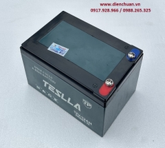 Ắc quy xe đạp điện Teslla 12V 12Ah ( Model 15)