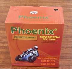 Ắc quy xe máy Phoenix TSM 1270MFH (12V 7Ah )