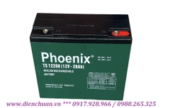 Ắc quy Phoenix TS12200 (12V 20Ah)