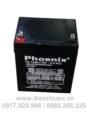 Ắc quy Phoenix 12V 5Ah TS1250