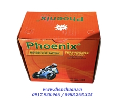 Ắc quy xe máy Honda Lead, Vision, SH125/150cc,SH Mode, PCX,  Air blade Phoenix TSM 1260W (12V 6.0Ah)