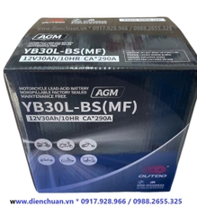 Ắc quy YB30L-BS (MF) 12V 30Ah (Ắc quy xe máy phân khối lớn/ Large displacement motorcycle batteries )