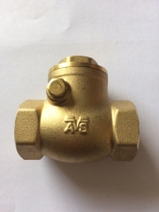 Van 1 chiều đồng AVS