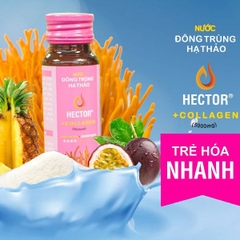 Nước đông trùng hạ thảo Hector Collagen - Hector Collagen cordyceps