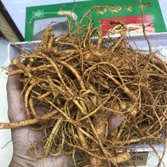 Rễ sâm tươi hàn quốc 1kg