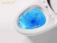 BỒN CẦU 1 KHỐI CAO CẤP DAESUN - DS013