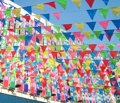 Cờ dây, cờ đuôi nheo, cờ dây tam giác tại Hà nội