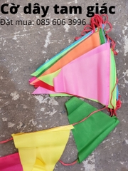Cờ dây, cờ đuôi nheo, cờ dây tam giác tại Hà nội