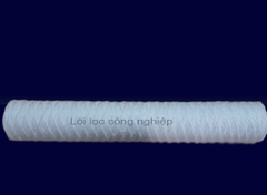Lõi lọc công nghiệp CWF-01 