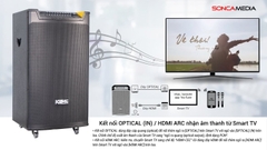 Loa Kéo ACNOS TOP 430 | Chính Hãng Acnos | Bảo Hành 12 Tháng