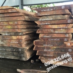 NHẬN THU MUA KHAI THÁC VƯỜN CÂY SẾN MẬT MỦ ĐỎ LẤY GỖ
